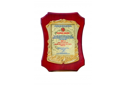 Chứng nhận giải thưởng TOP 3 HÀNG TIÊU DÙNG ĐƯỢC YÊU THÍCH NHẤT NĂM 2021